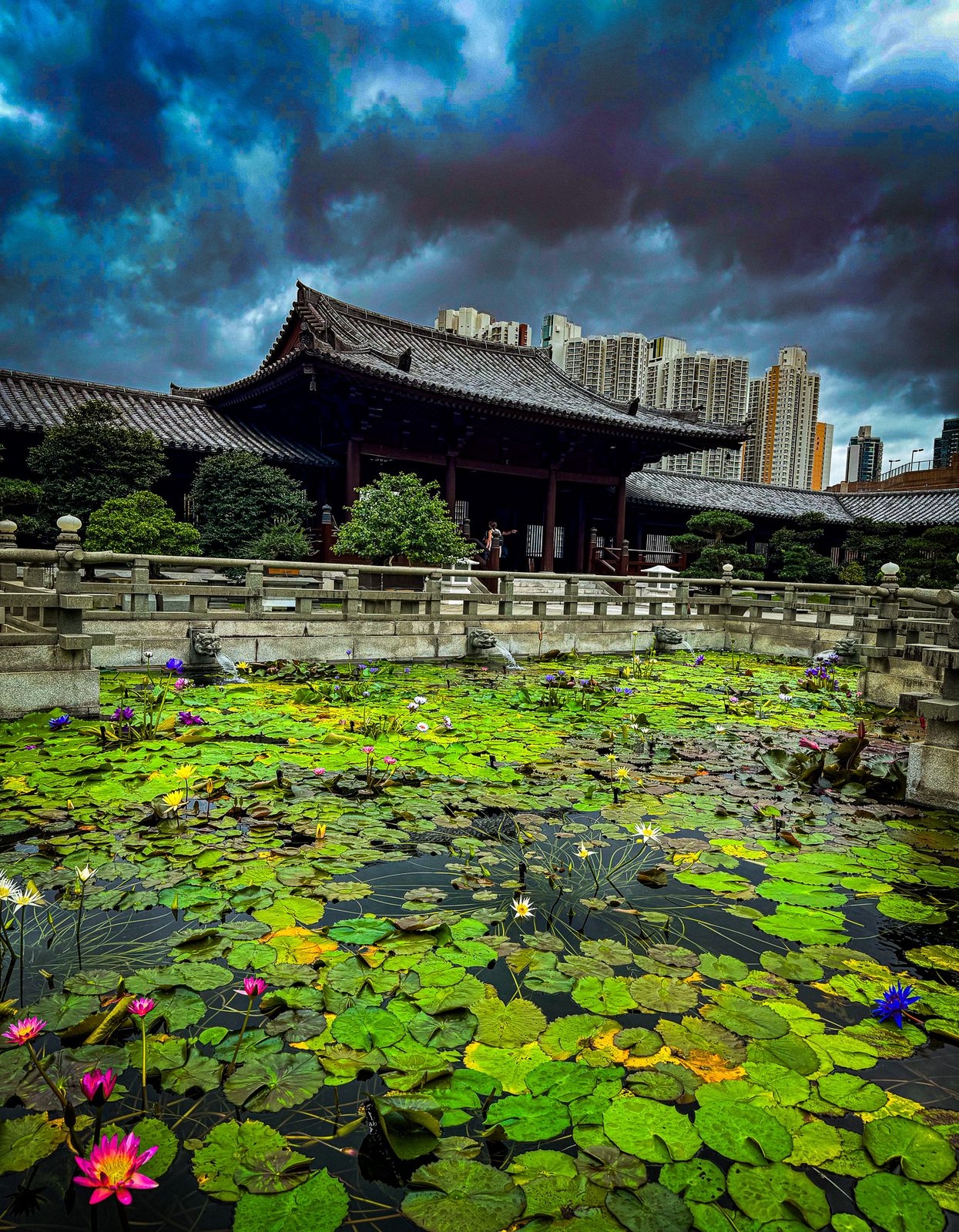 Lotus pond stretching to a temple pavilion under monsoon clouds